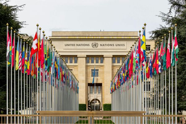 Role of UN in human rights enforcement